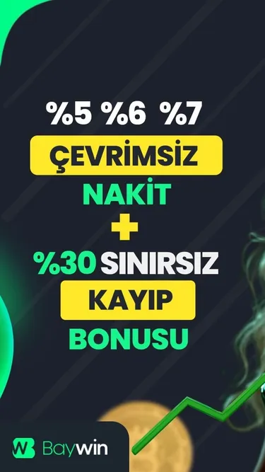 Baywin Screenshot